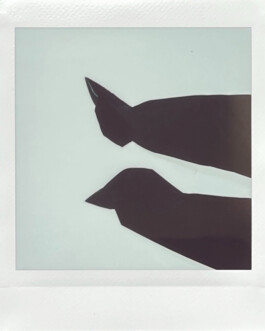 Campaign by House of Dash for Herman